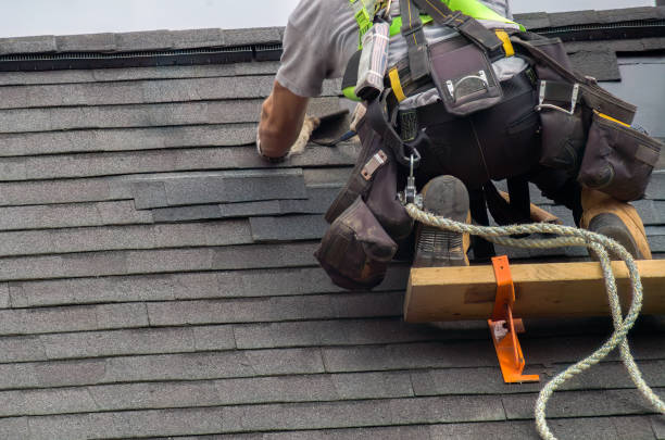 Best Roof Ventilation Installation  in Bushyhead, OK