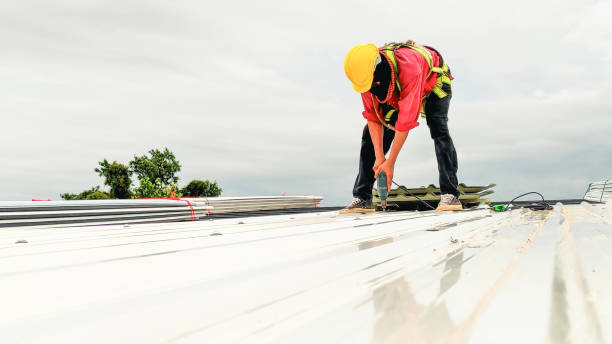 Best Gutter Installation and Repair  in Bushyhead, OK