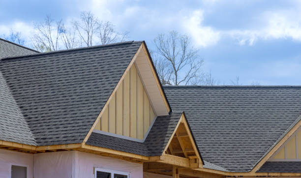 Best Roof Insulation Installation  in Bushyhead, OK