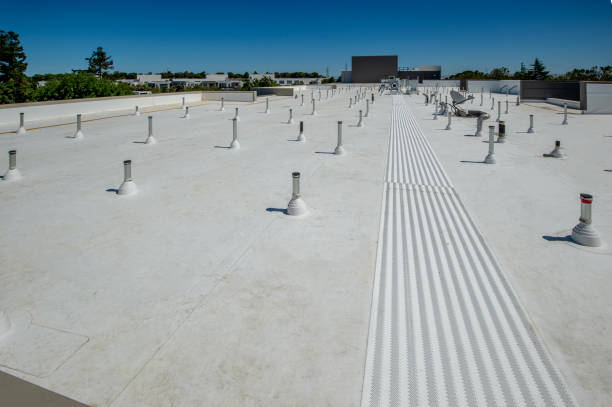 Best Sheet Metal Roofing  in Bushyhead, OK